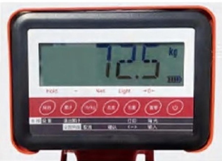 Electronic Scale Hand Pallet Truck Detail 2